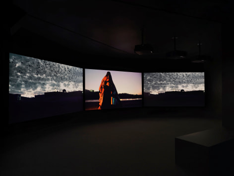 Doug Aitken Flags and Debris