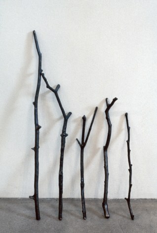 Liz Larner, Leaning Twigs, 5, 1991