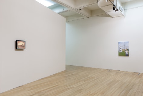 Tala Madani, Installation view: Taipei Biennial 2014 - The Great Acceleration: Art in the Anthropocene, 2014