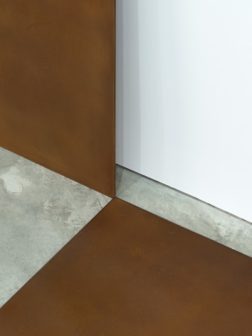 Alicja Kwade, Incident (Trait Transference), 2016