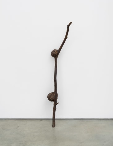 Nina Canell, Carrier