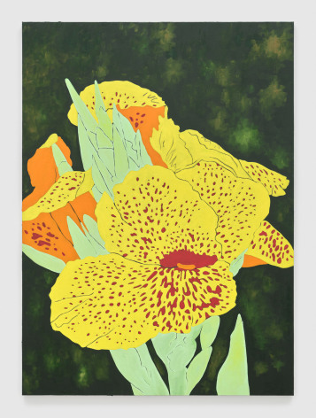 Cassi Namoda, Photosynthesis at rest