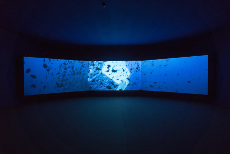 Doug Aitken, Underwater Pavilions (installation), 2017