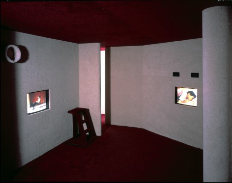 Doug Aitken, cathouse, 1997