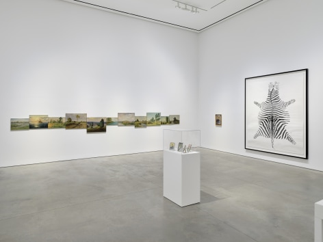 Installation view:&nbsp;Hans-Peter Feldmann,&nbsp;303 Gallery, New York, 2025. Photo: Justin Craun