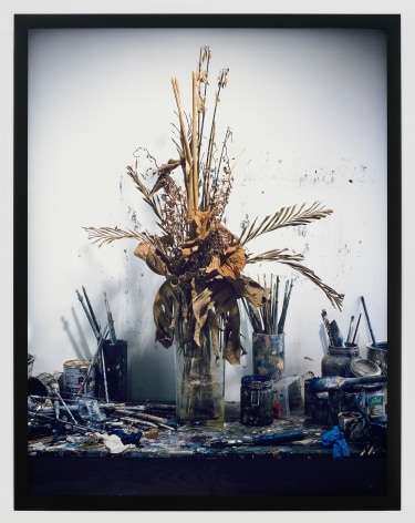 Rodney Graham, Dead Flowers in My Studio, 2009