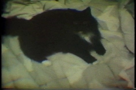 Karen Kilimnik, Nice--and--...introducing Tabitha, 1991