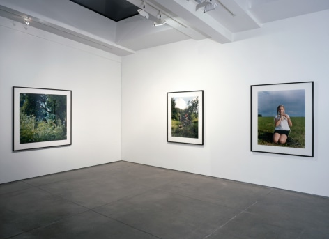 Collier Schorr Installation view: Forests and Fields