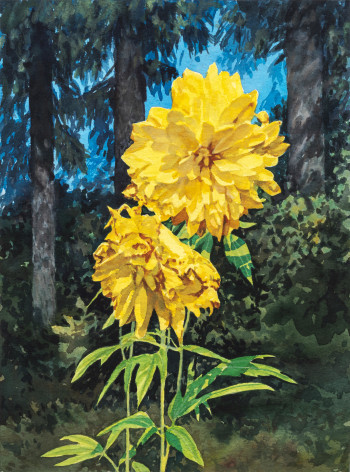 Tim Gardner, Yellow Dahlias