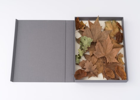 Alicja Kwade, Time Machine, 2016