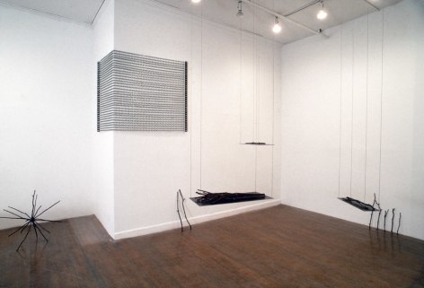 Liz Larner, Installation view: 303 Gallery, 1991