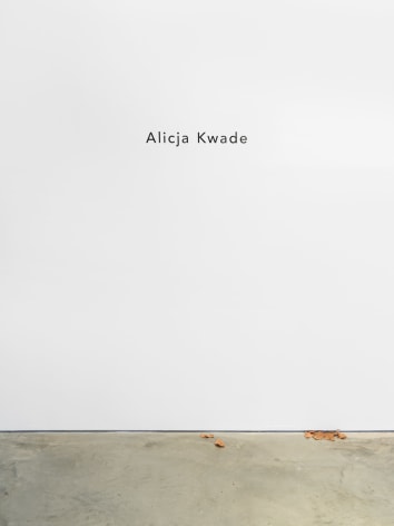 Alicja Kwade, Installation view: I Rise Again, Changed But The Same, 303 Gallery, 2016