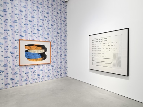Installation view:&nbsp;Project Room: Larry Johnson,&nbsp;303 Gallery, New York, 2025. Photo: Justin Craun