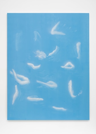 Tala Madani, Shit Glyphs