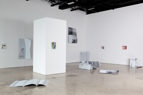 Nick Mauss, The desire for the possibility of new images. Installation at 303 Gallery, 2012