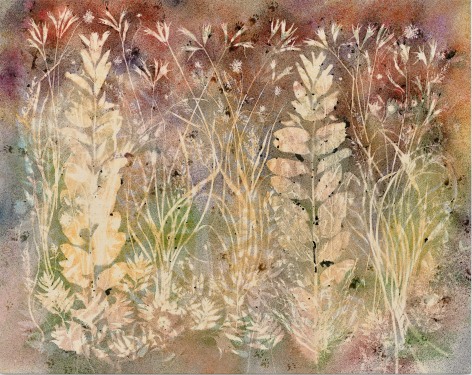 Sam Falls, Setting Summer