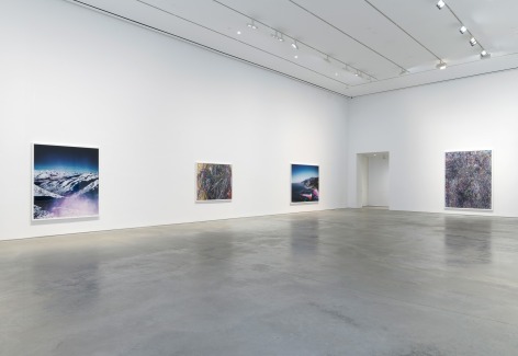 Installation view: Florian Maier-Aichen, 303 Gallery, New York, 2017