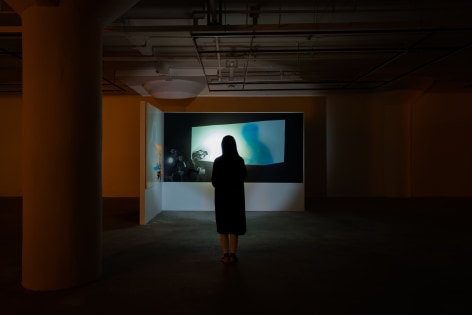 Installation view: Tala Madani,&nbsp;It Was as if the Shadows Were Lit Up, Longlati Foundation, Shanghai,2021