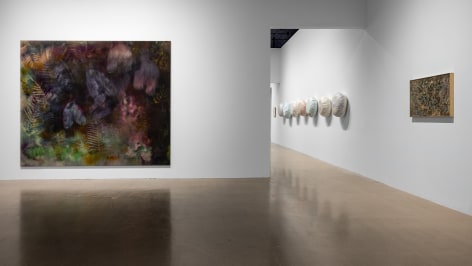 Installation view: Sam Falls, We Are Dust and Shadow, moCa Cleveland, 2023. Courtesy moCa Cleveland. Photo: Jacob Koestler