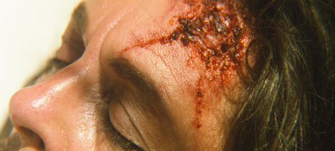 Rodney Graham, Vexation Island, 1997