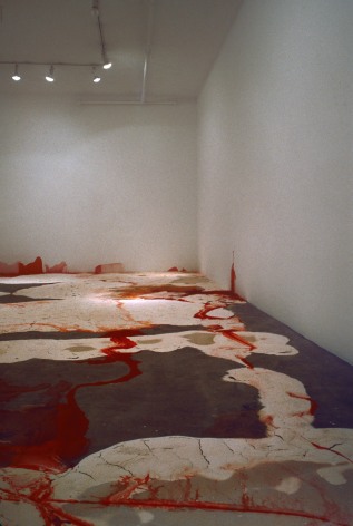 Lauren Szold, Installation view: 303 Gallery, New York, 1992
