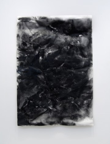 Kim Gordon, Ladies of the Paradise #8, 2015