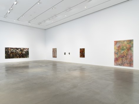 Exhibition view:&nbsp;Sam Falls, 303 Gallery, New York, 2020
