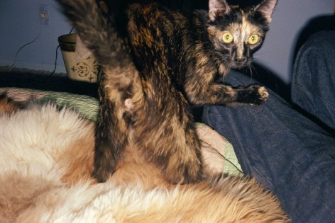 Stephen Shore, Canyon, Texas. July 1972