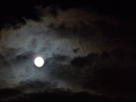 Karen Kilimnik, full moon in the woods, 2011