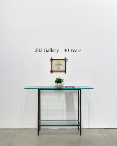 Installation view:&nbsp;303 Gallery: 40 Years, 303 Gallery, New York, 2024.&nbsp;Photo: Justin Craun
