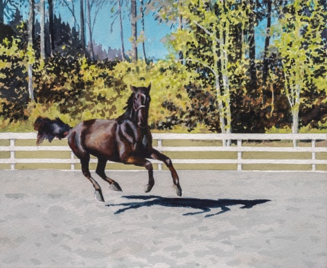 Tim Gardner, Untitled (horse running)