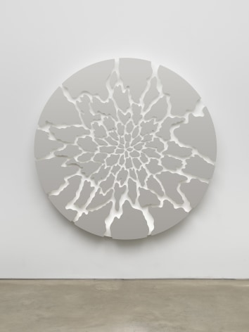 Doug Aitken Terra (camouflage)