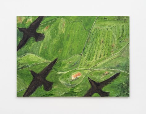 Tanya Merrill, Crows over Italian landscape