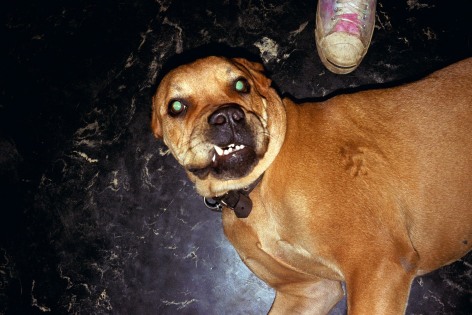 Stephen Shore, Rochester, Michigan, July 1972