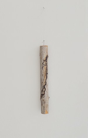Nina Canell, Halfway Between Opposite Ends