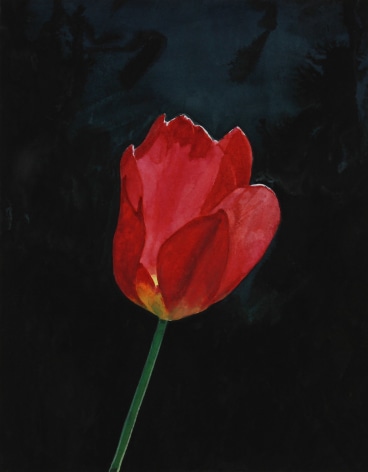 Tim Gardner, Tulip