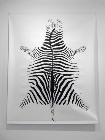 Hans-Peter Feldmann, Zebra