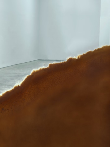 Alicja Kwade, Incident (Trait Transference), 2016