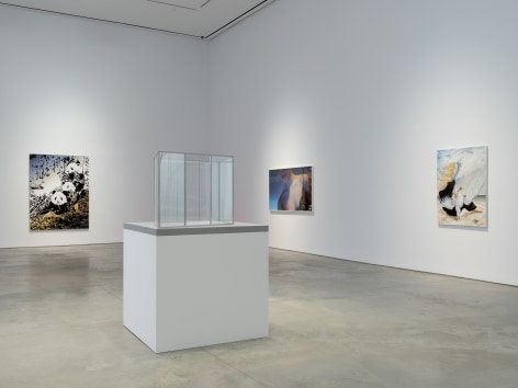 Installation view:&nbsp;Winter of Discontent,&nbsp;303 Gallery, New York, February 6 - April 1, 2021