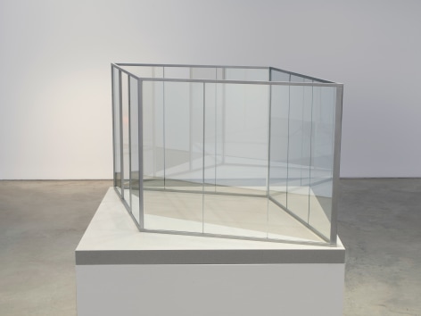 Dan Graham Diamond or Swimming Pool