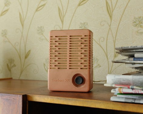 Stephen Shore, Home of Lyubov Brenman, Borispol, Ukraine, July 19, 2012