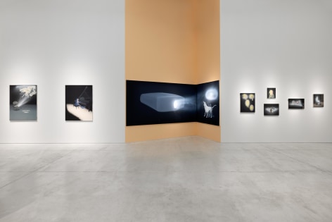 Installation views: Tala Madani, Shitty Disco, June 13 &ndash; November 10, 2024, National Museum of Contemporary Art Athens, Greece. Photography: Paris Tavitian