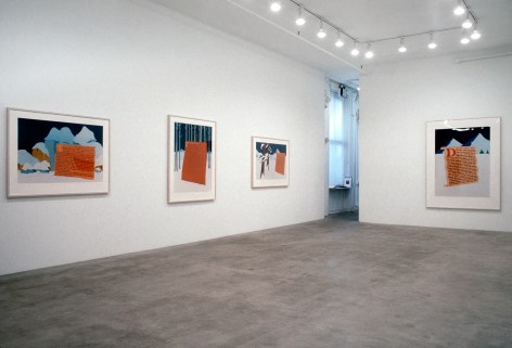 Larry Johnson, Installation view: 303 Gallery, 1991