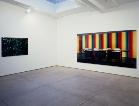 Thomas Demand, Installation view: 303 Gallery, 1998
