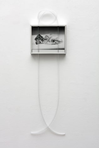 Elad Lassry, Untitled (Inflatable Dolphin, Fish)