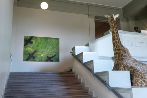 Installation view: Tanya Merrill, Parcours,&nbsp;Natural History Museum Basel, 2023. Photo: Finn Curry