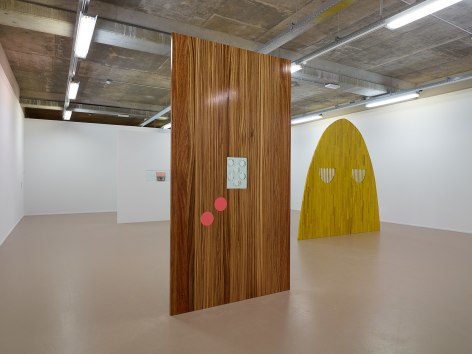 Elad Lassry, Installation view: Sensory Spaces 3, Museum Boijmans Van Beuningen, Rotterdam, 2014