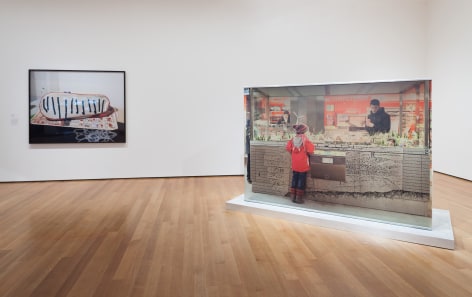 Marina Pinsky, Installation view: Ocean of Images: New Photography 2015, MoMA, New York