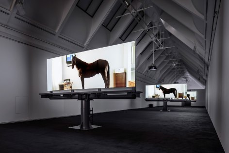 Doug Aitken, migration (empire), 2008, Installation view: Schirn Kunsthalle Frankfurt, 2015