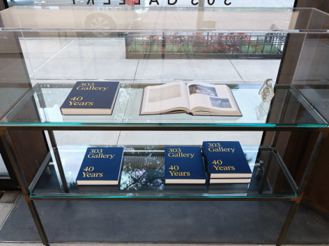 Installation view:&nbsp;303 Gallery: 40 Years, 303 Gallery, New York, 2024.&nbsp;Photo: Justin Craun